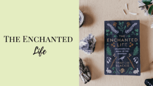 The Enchanted Life Book Cover