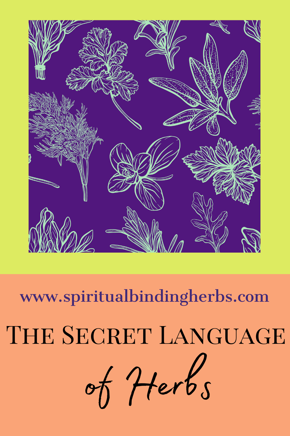 How Is The Secret Language of Herbs by Alice Peck