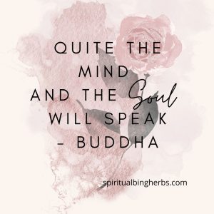 Buddha Quote "quite the mind and the soul will speak"