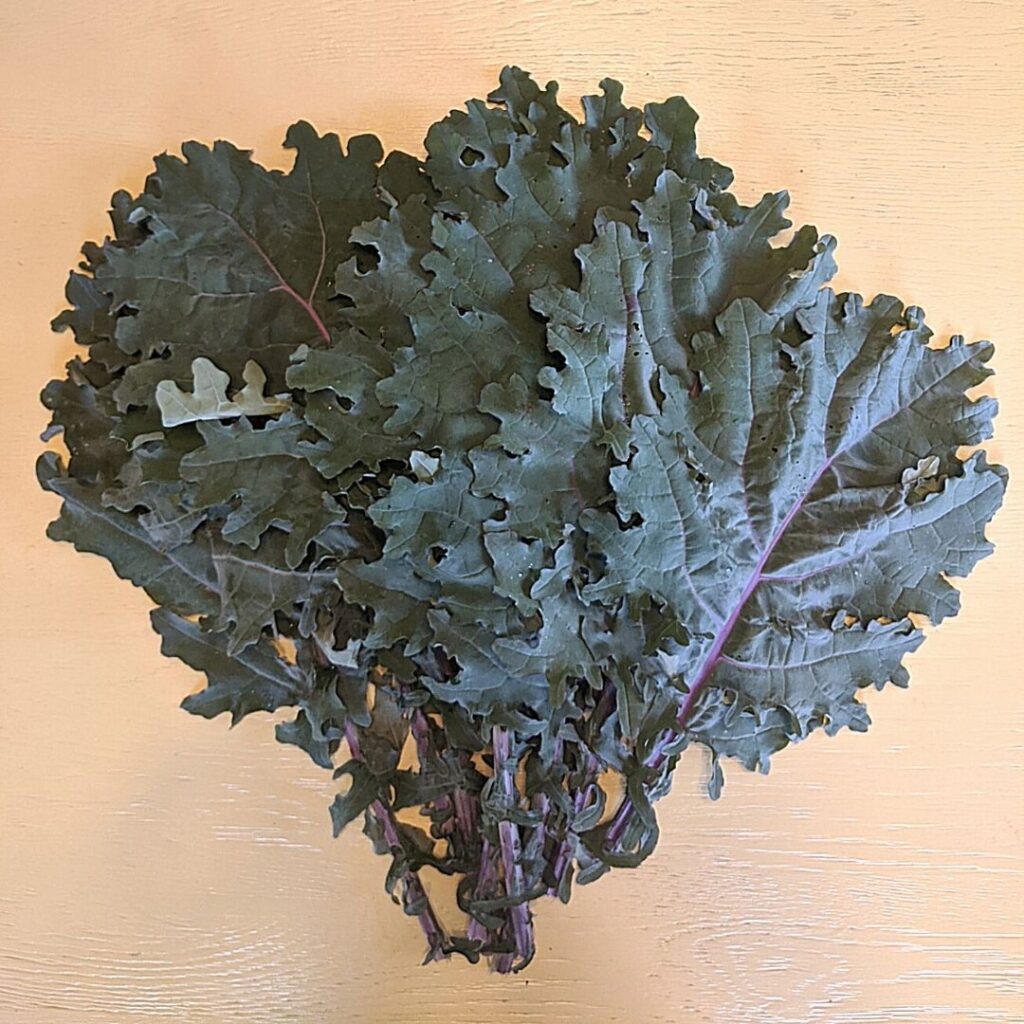 kale from the garden