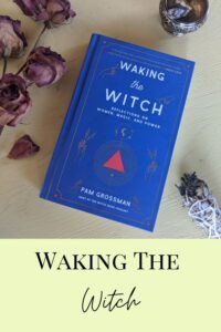 Pinterest Image Waking The Witch Book Review