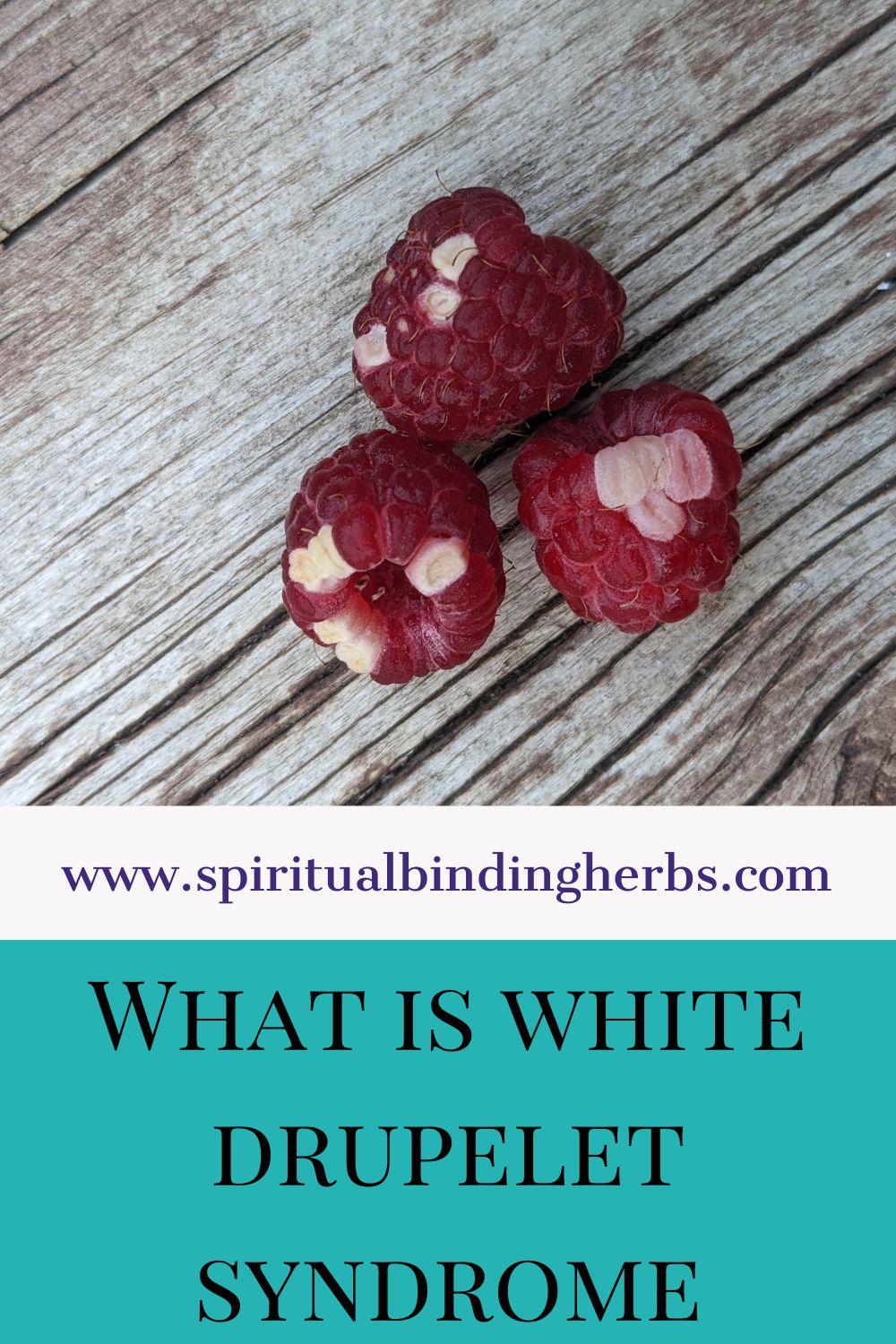 How To Know If Your Raspberries Have White Drupelet Syndrome