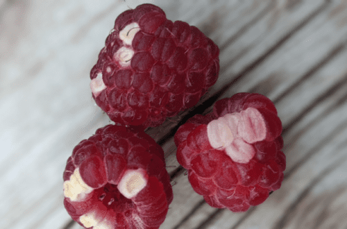 raspberries with white drupelet syndrome