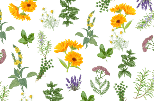 Wallpaper of flowers