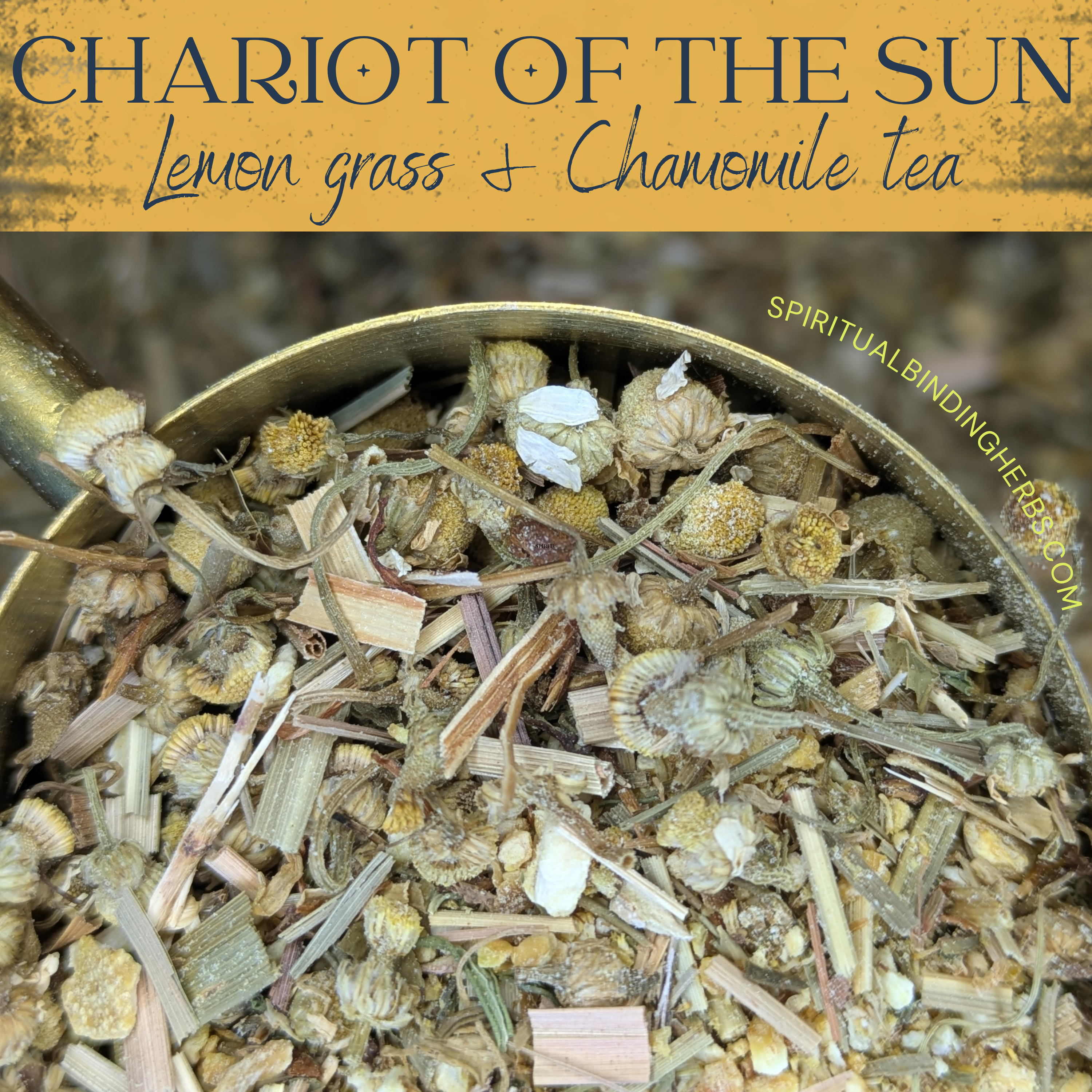 🌞 Chariot of the Sun – Solar Herbal Tea Blend - 2oz