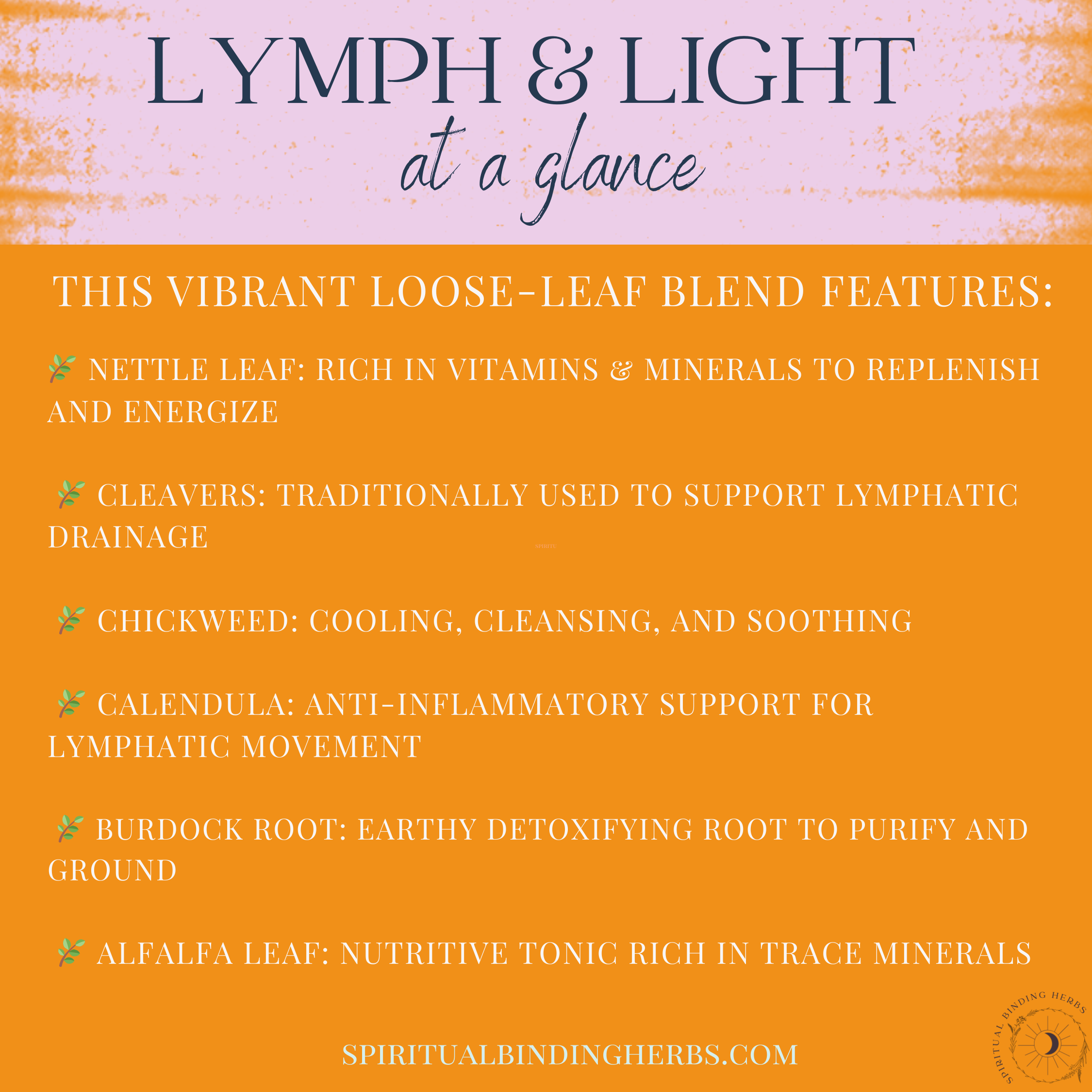 Lymph & Light Tea – Lymphatic Support & Gentle Detox - Image 3