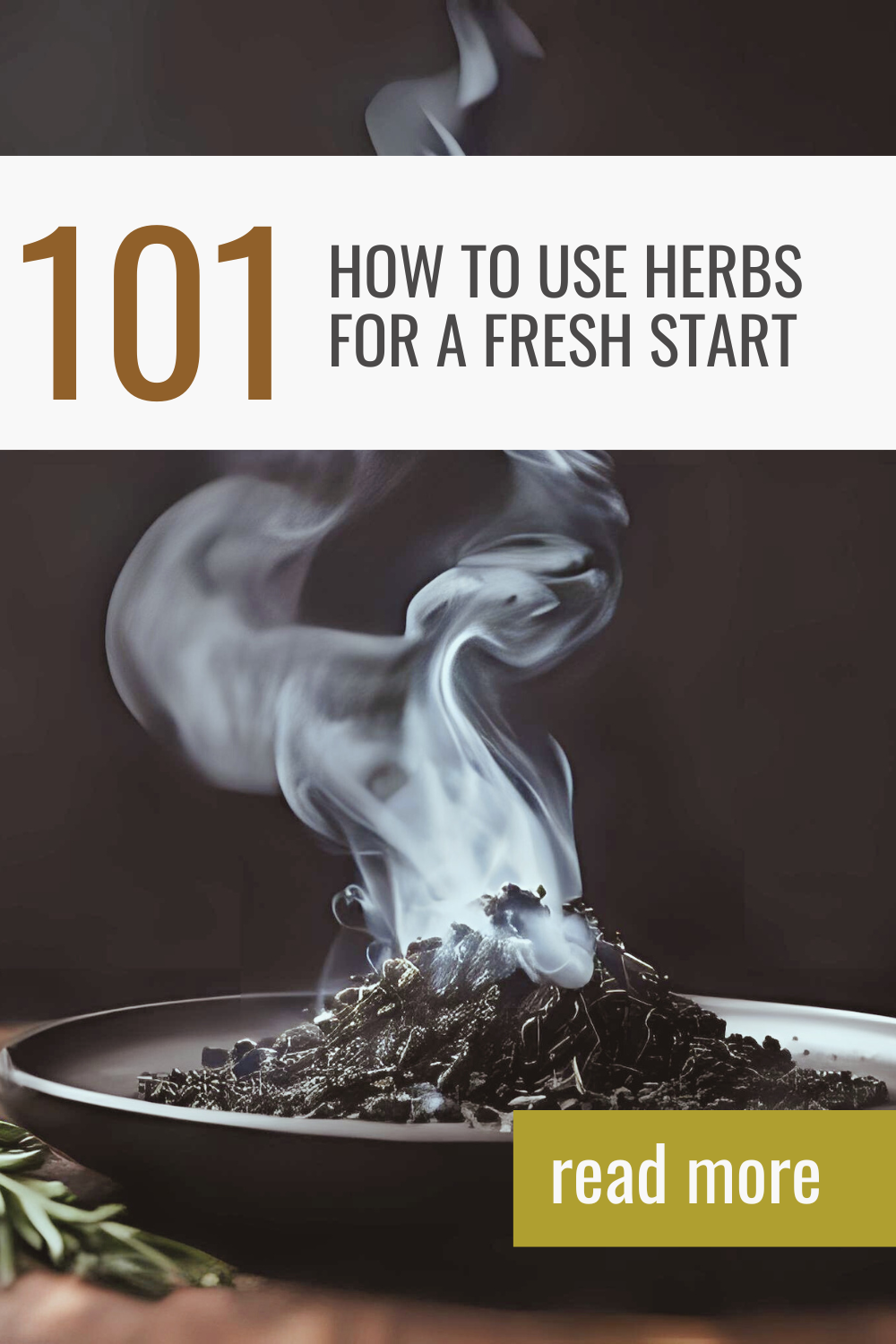 Spiritual Cleansing with Plants: A Complete Guide